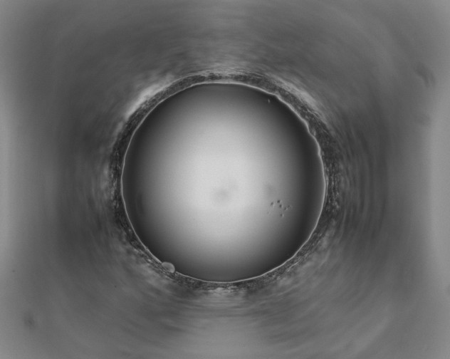 X0000111901160200908031111