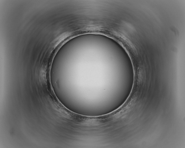 X0000111901162200908031111