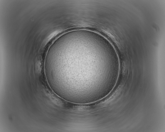 X0000111901163200908031111