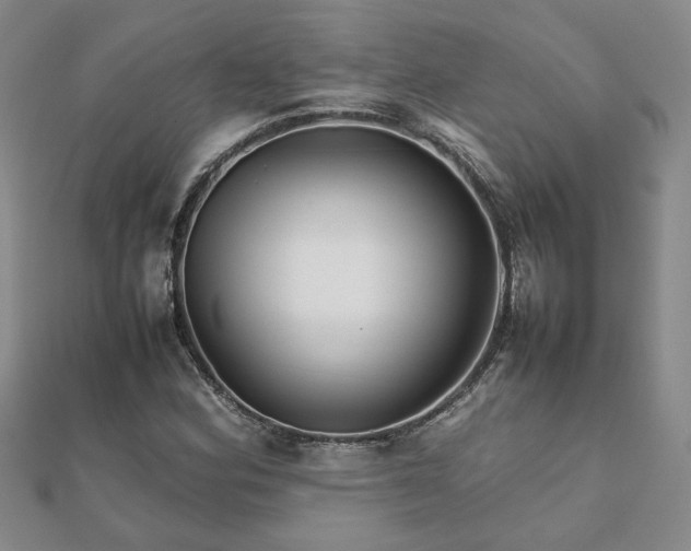 X0000111901164200908031111