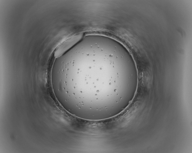 X0000111901165200908031111