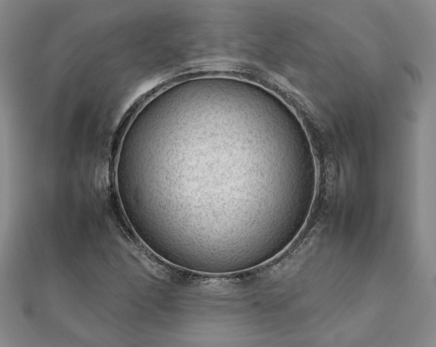 X0000111901166200908031111