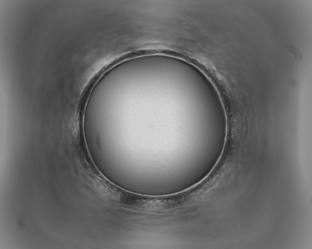 X0000111901167200908031111