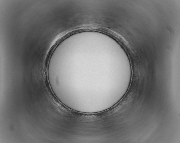 X0000111901168200908031111