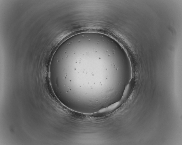 X0000111901169200908031111