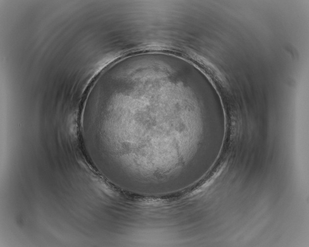 X0000111901170200908031111