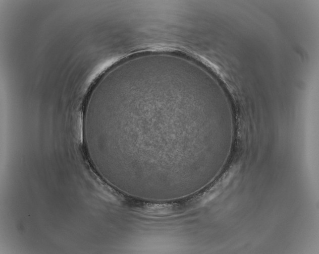 X0000111901171200908031111