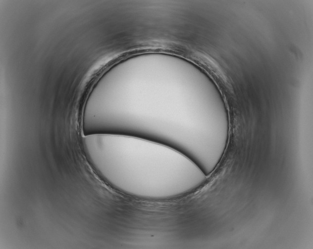 X0000111901172200908031111