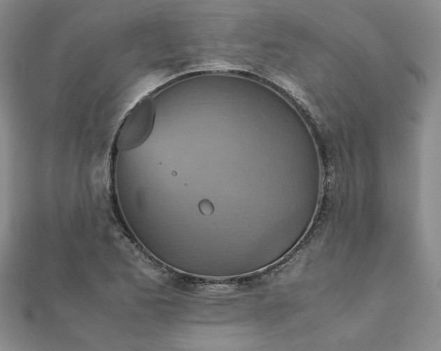 X0000111901173200908031111