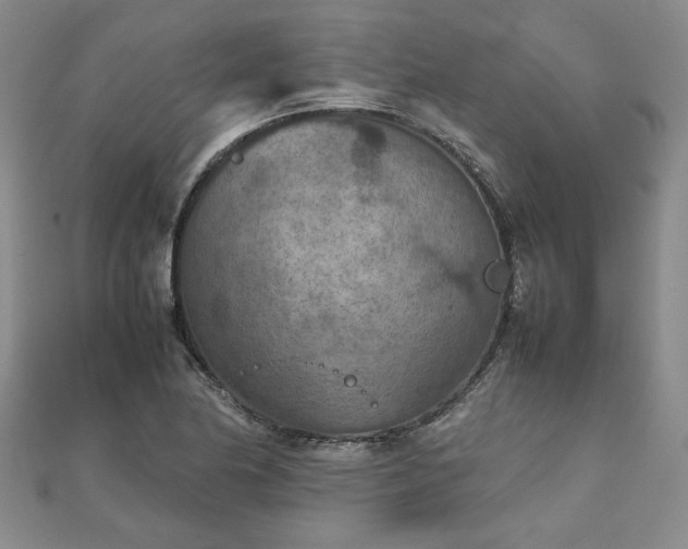 X0000111901174200908031111