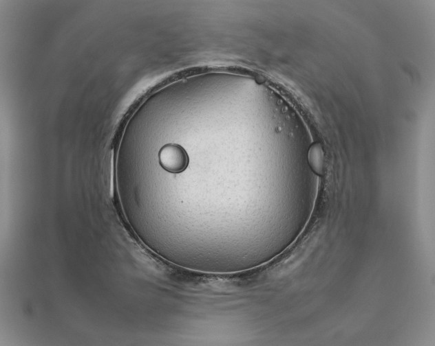 X0000111901175200908031111