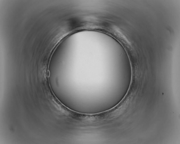 X0000111901177200908031111