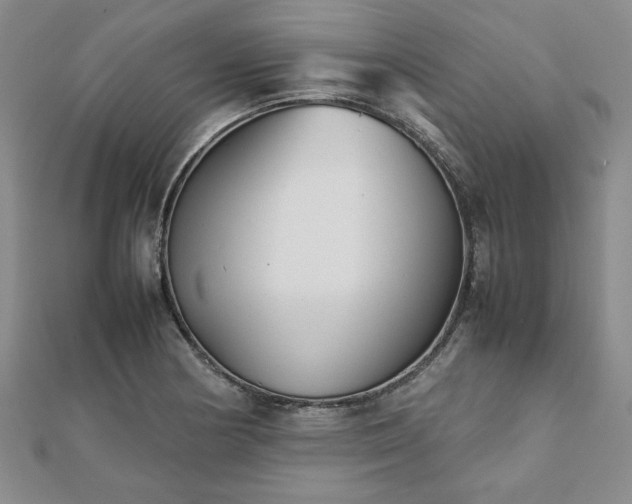 X0000111901178200908031111