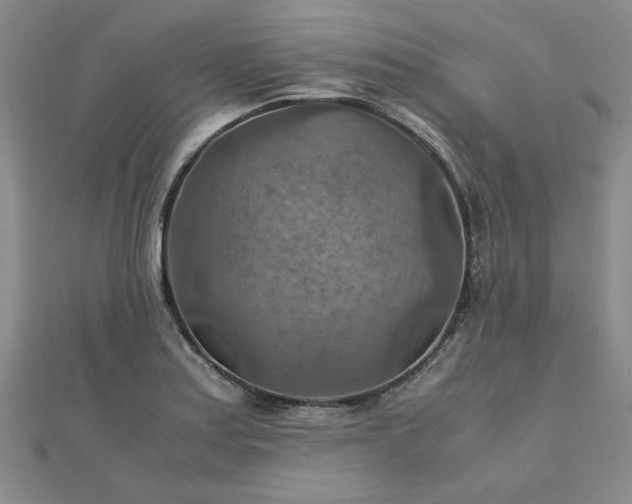 X0000111901179200908031111