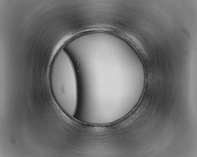 X0000111901180200908031111