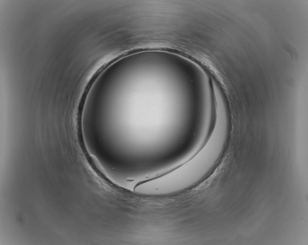 X0000111901181200908031111