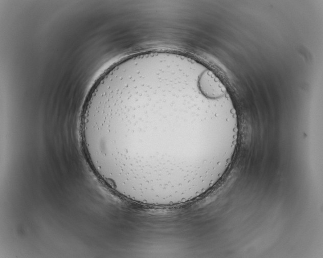 X0000111901182200908031111