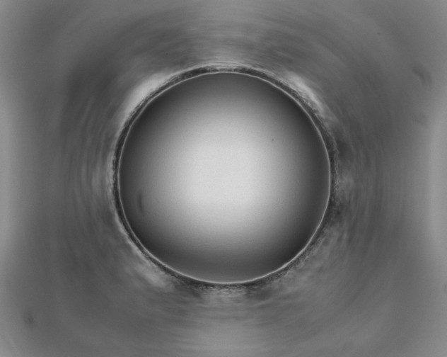 X0000111901183200908031111