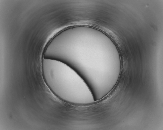 X0000111901184200908031111