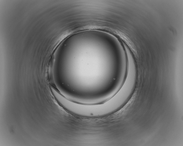 X0000111901185200908031110