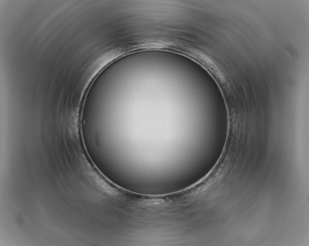 X0000111901186200908031110