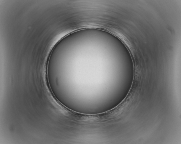 X0000111901187200908031110