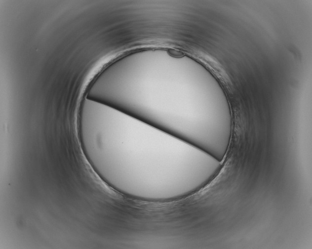 X0000111901188200908031110