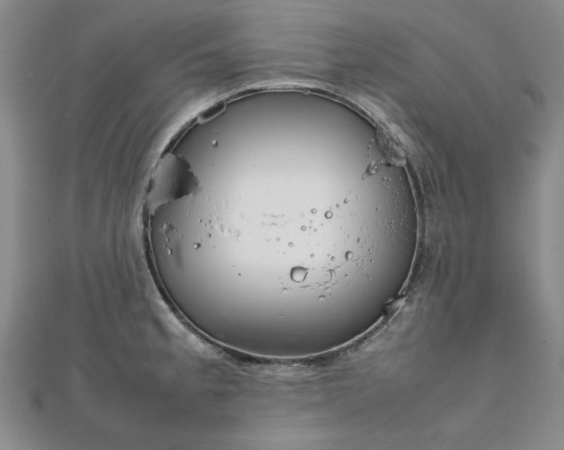 X0000111901189200908031110