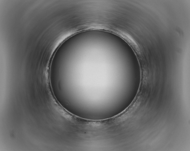 X0000111901190200908031110