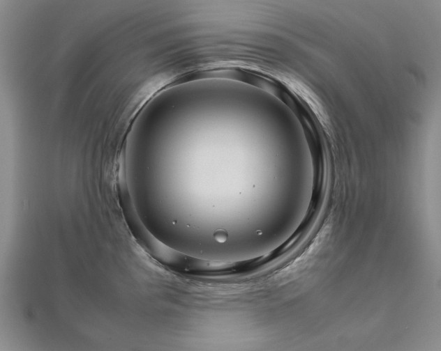 X0000111901193200908031110