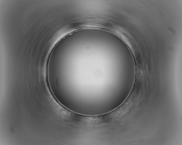 X0000111901195200908031110