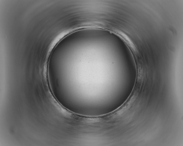 X0000111901196200908031110