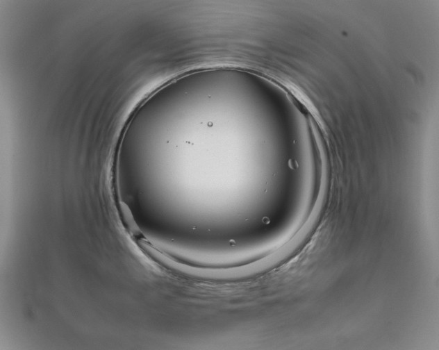 X0000111901197200908031110