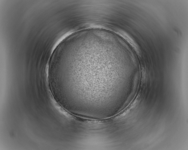 X0000111901198200908031110