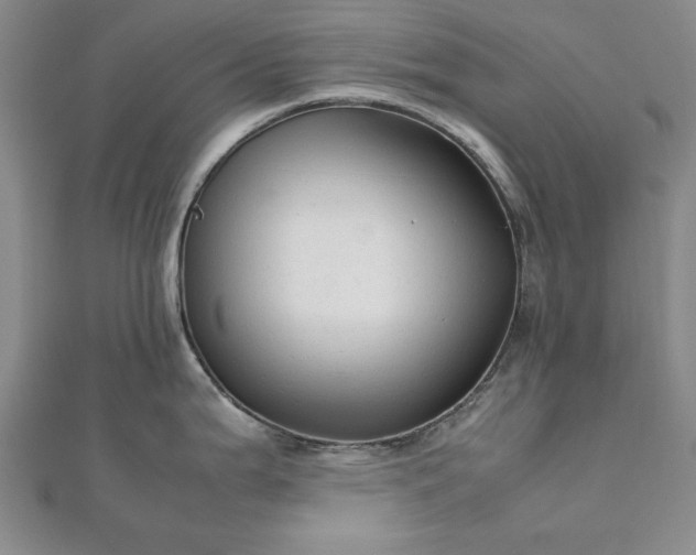 X0000111901199200908031110