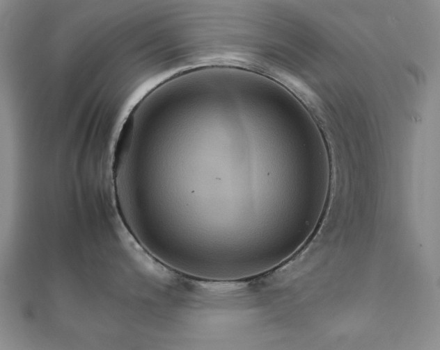 X0000111901200200908031110