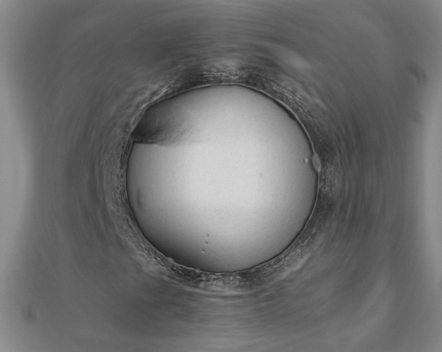 X0000111901201200908031110