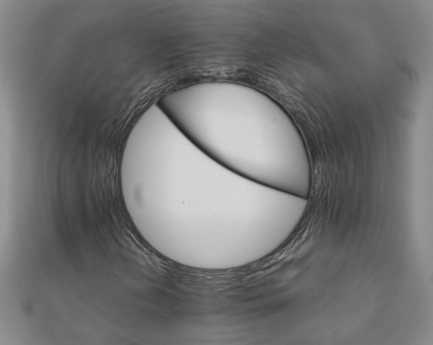 X0000111901202200908031110