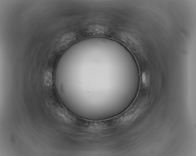 X0000111901203200908031110