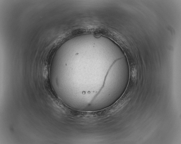 X0000111901204200908031110