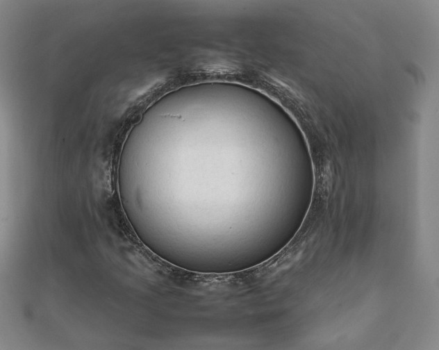 X0000111901205200908031110