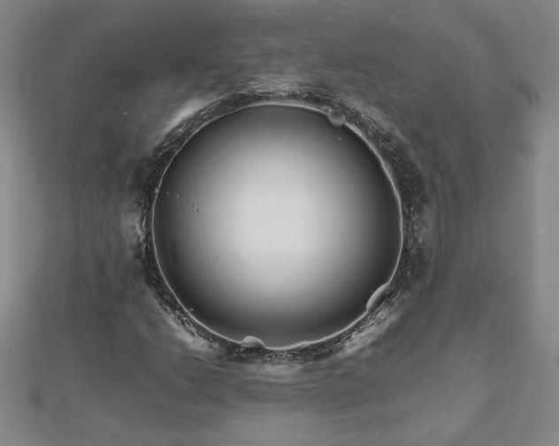 X0000111901206200908031110