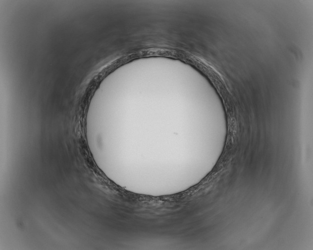 X0000111901207200908031110