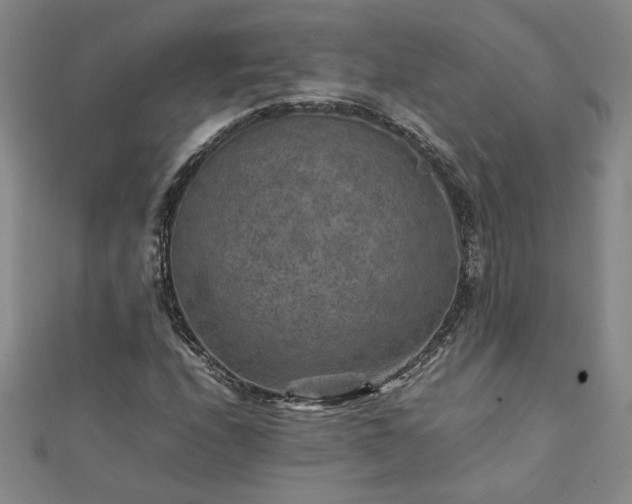 X0000111901208200908031110