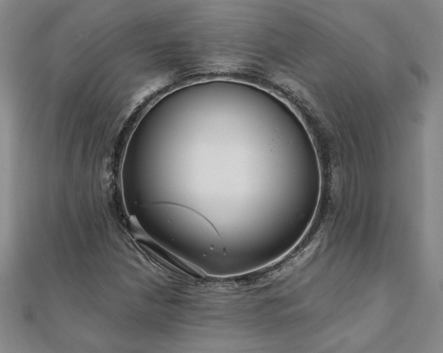 X0000111901210200908031110