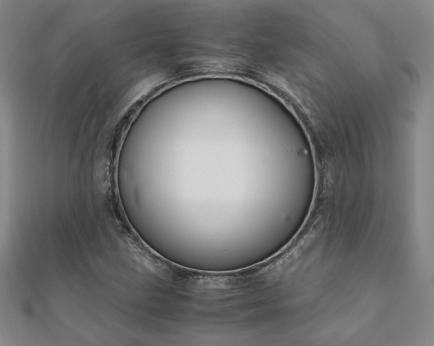 X0000111901211200908031110