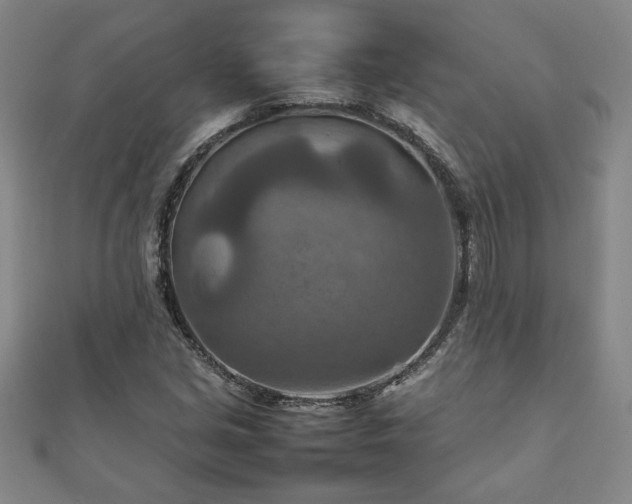 X0000111901213200908031110