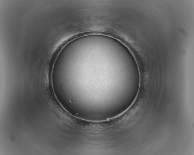 X0000111901214200908031110