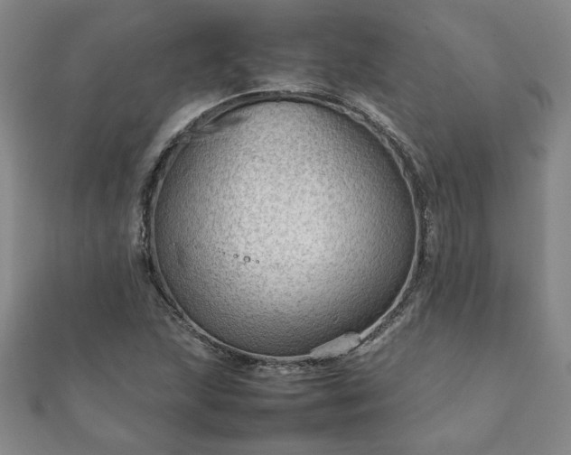 X0000111901215200908031110