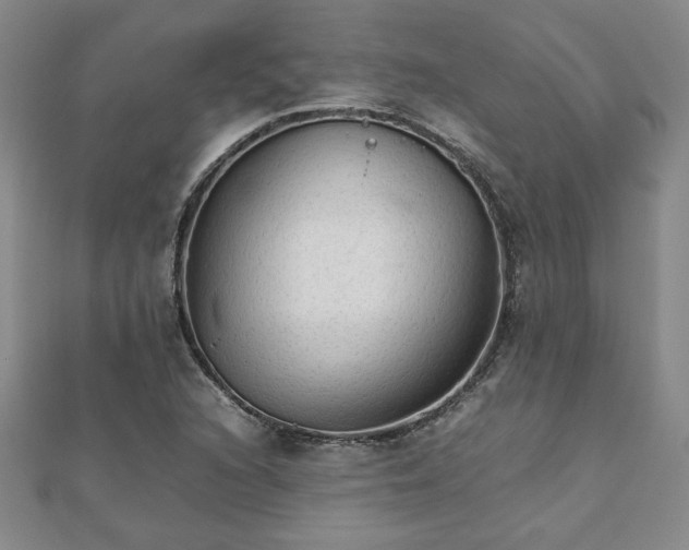 X0000111901216200908031110